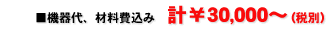 @Aޗ݁@v30,000`iŕʁj
